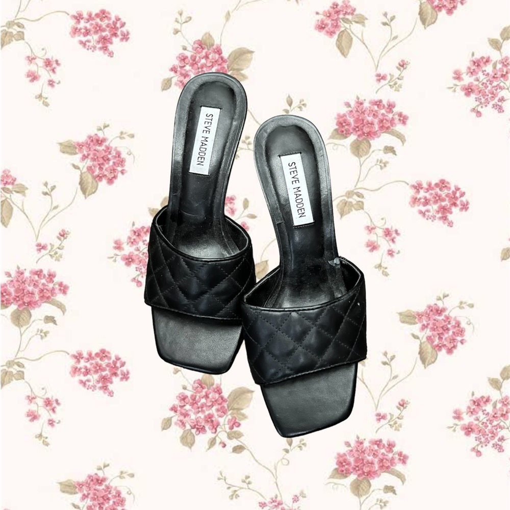 Steve madden